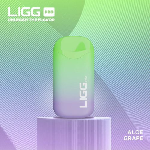 Best Deal LIGG Pro 5500 Puffs Rechargeable Disposable Vape 14mL Aloe Grape