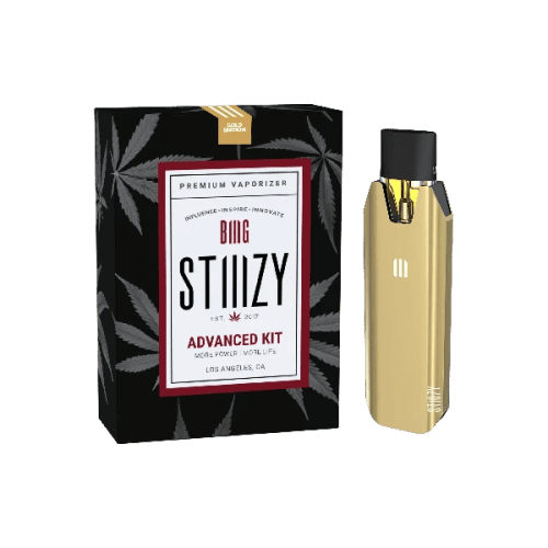 Best Deal STIIIZY Advanced Original Biiig Battery (Pod Battery) - Gold