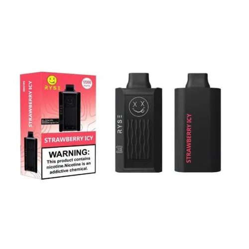 Best Deal RYSE 12000 Puffs Rechargeable Disposable Vape 18mL Strawberry Icy